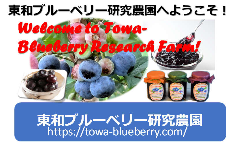 Towa-Blueberry Research Farm