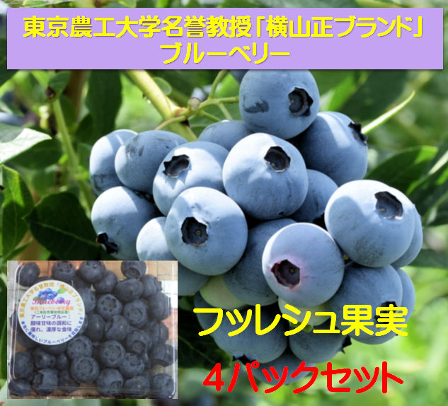 FBB-local-northern_500g-125g-4p